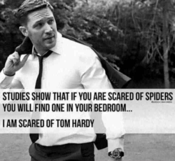 l-28216-studies-show-that-if-you-are-scared-of-spiders-you-will-find-one-in-your-bedroom-i-am-scared-of-tom-hardy